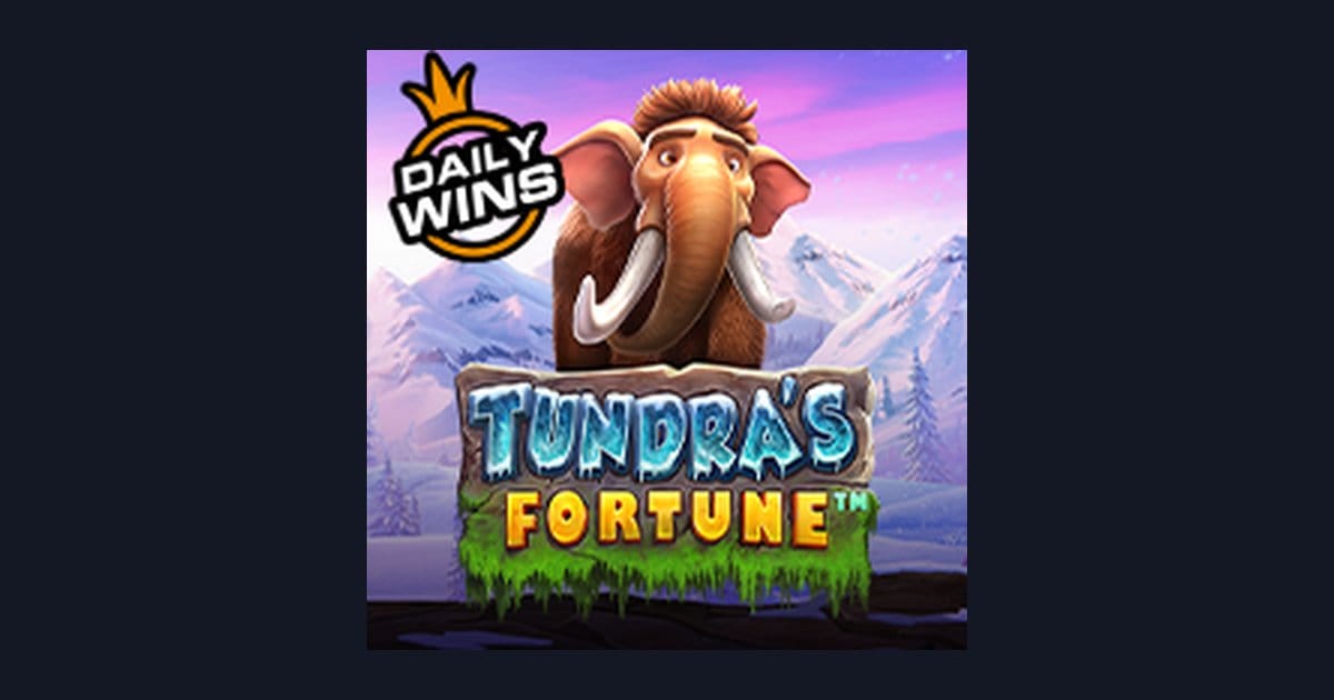 Panduan Slot Online Tundras Fortune: Tips Slot Pemula & Cara Membaca RTP